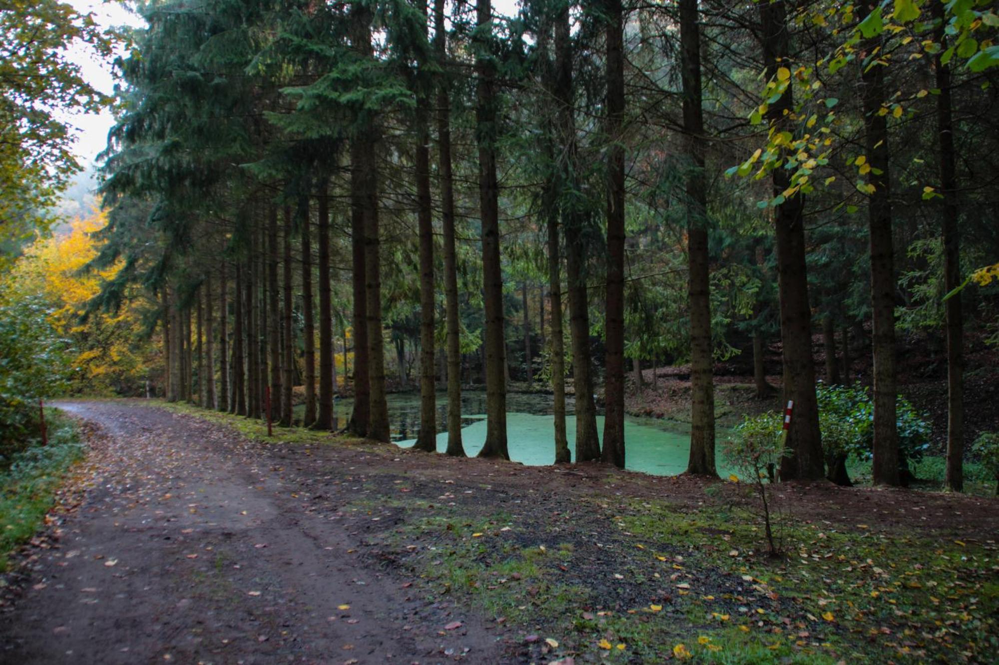 Fh "Baeren Ecke" Am See Im Hessischen Bergland 基希海姆 外观 照片