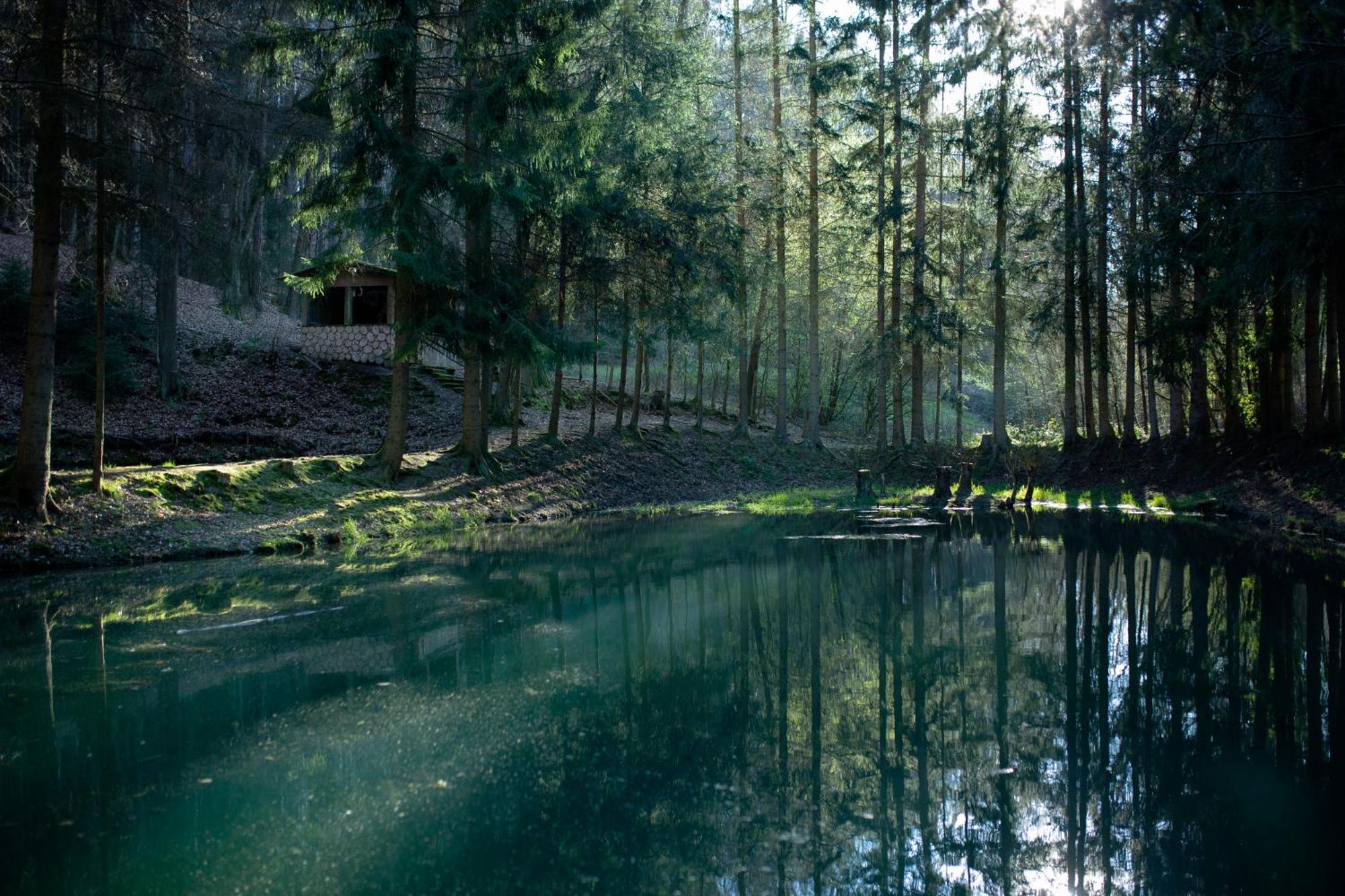 Fh "Baeren Ecke" Am See Im Hessischen Bergland 基希海姆 外观 照片